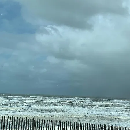 't Souterrain 아파트 잔드보르트