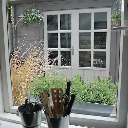 't Souterrain 아파트 잔드보르트