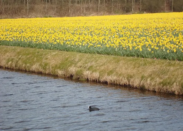 't Souterrain Zandvoort
