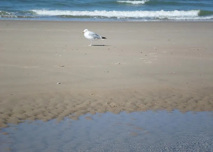 Daire 't Souterrain Zandvoort