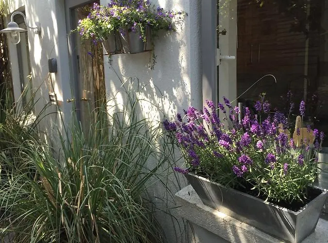 't Souterrain Zandvoort