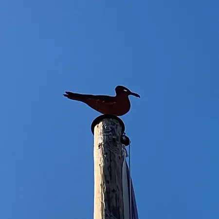 't Souterrain Zandvoort