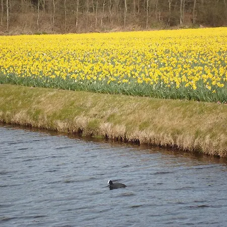 't Souterrain Zandvoort