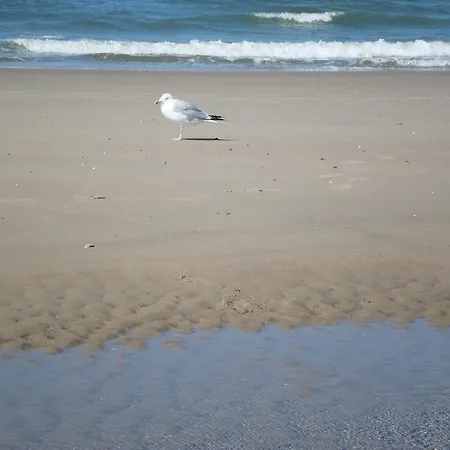 Apartamento 't Souterrain Zandvoort