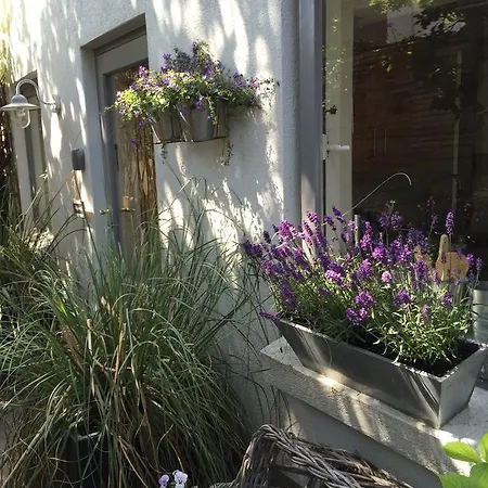 't Souterrain Zandvoort